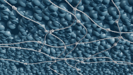 Kollagen Typ IV-Netzstruktur